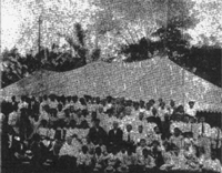 8vo. Campestre, Ceiba 1915